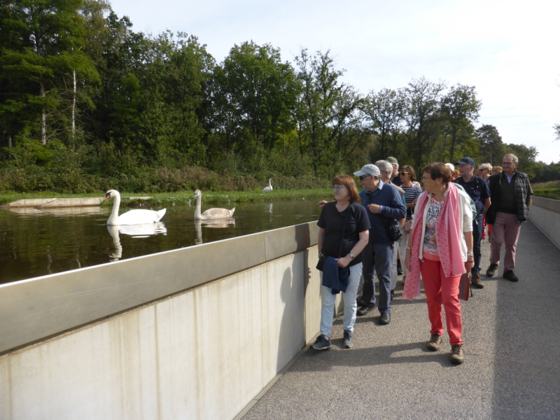 Wandeling Kiewit-Boktrijk 21 september 2021